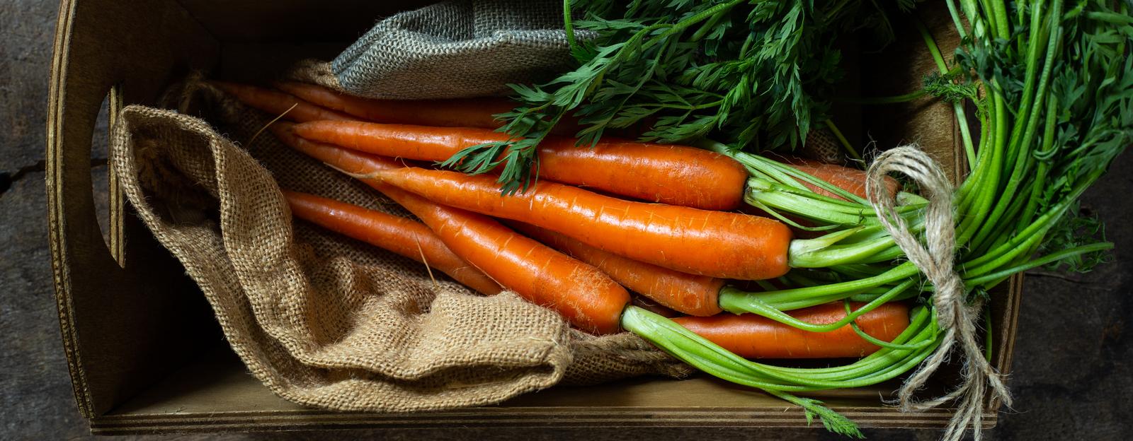 Karotten kochen Einfaches Rezept und leichte Zubereitung