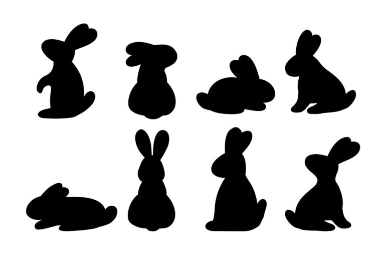 Kaninchen oder Hase