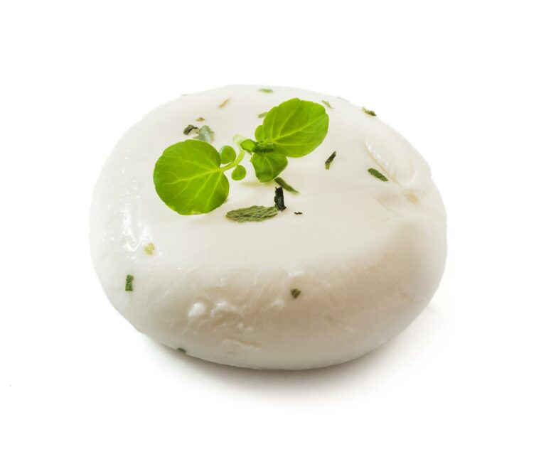 Mozzarella Rezepte